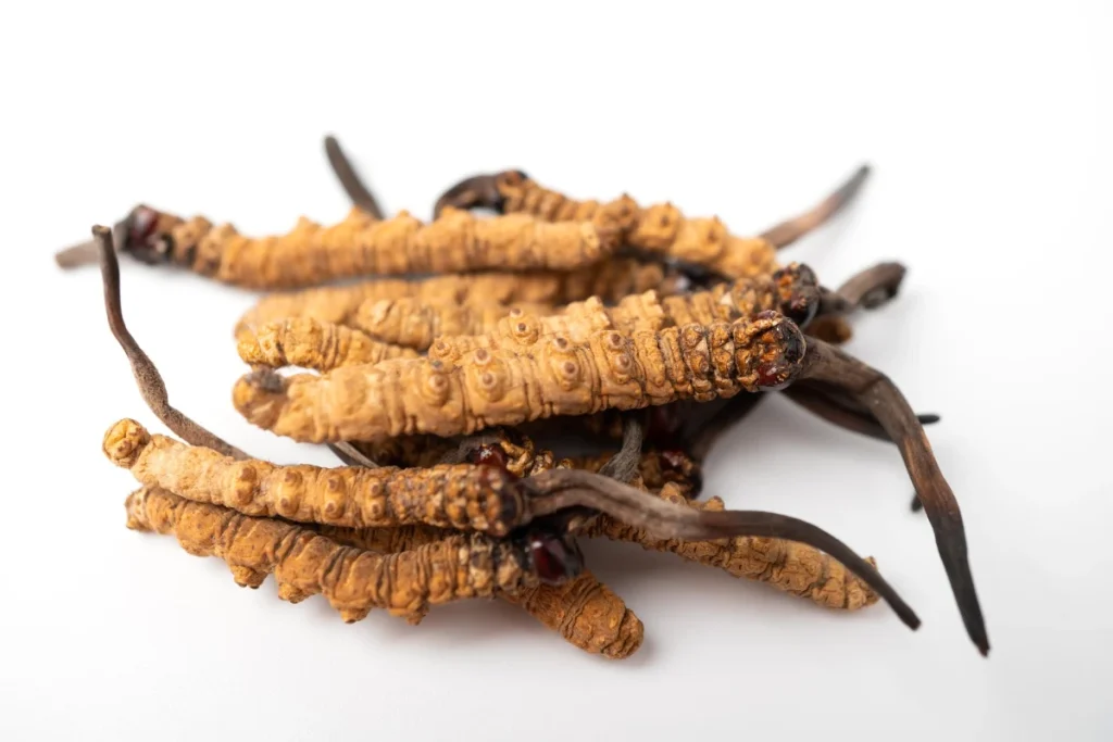 2 Power of Lion's Mane and Cordyceps for Fitness Enthusiasts!