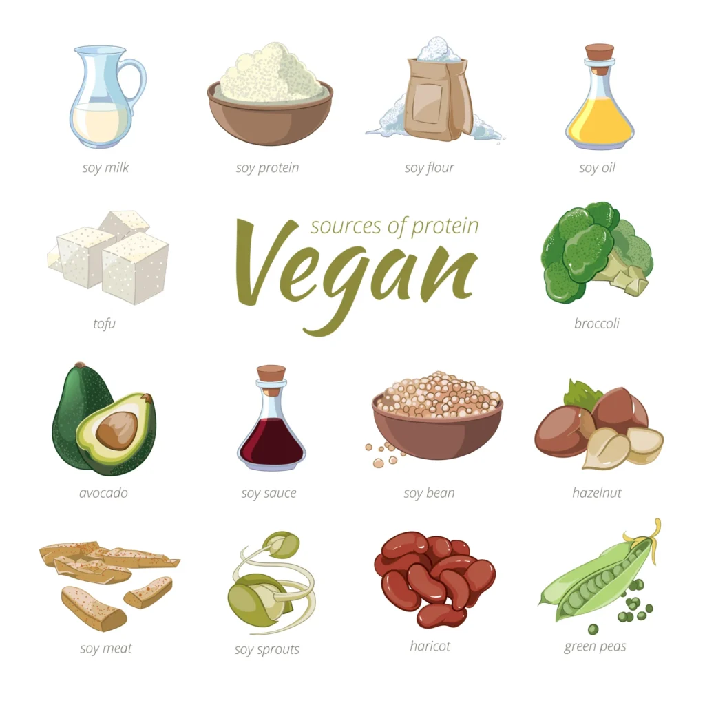 3 Whey protein vs plant protein
