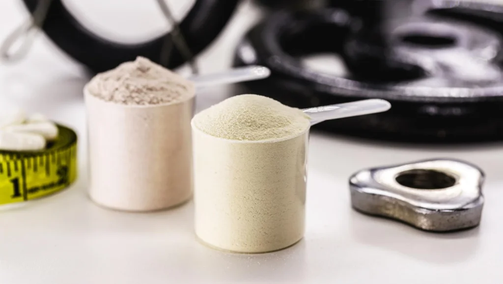 Whey protein vs plant protein